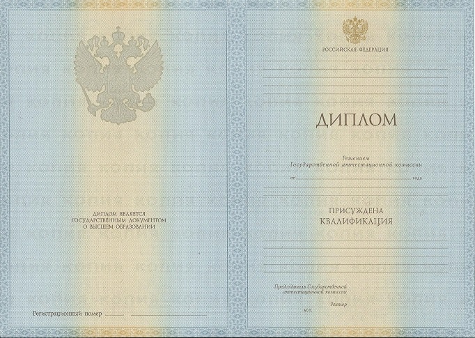 Диплом маркетолога 2009-2010 года